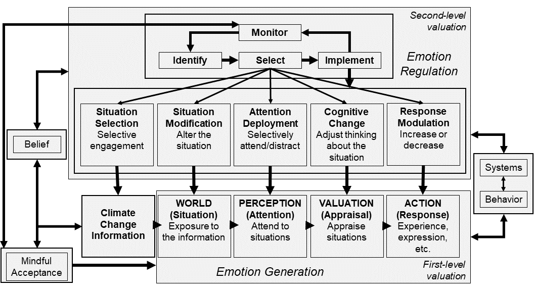 conceptual framework of emotion regulation applied to the climate change situation